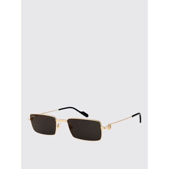 Cartier Sunglasses Woman Grey - Picture 1 of 4